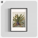 1-42_Native-Flowering-Plants-of-New-Zealand_blk