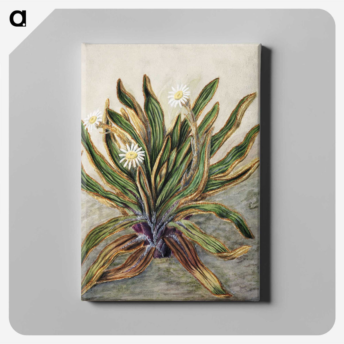 1-42_Native-Flowering-Plants-of-New-Zealand_canvas