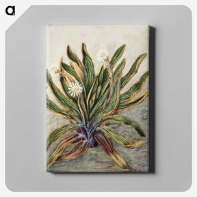 1-42_Native-Flowering-Plants-of-New-Zealand_canvas