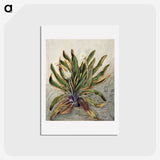 1-42_Native-Flowering-Plants-of-New-Zealand_hagaki