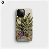 1-42_Native-Flowering-Plants-of-New-Zealand_phone