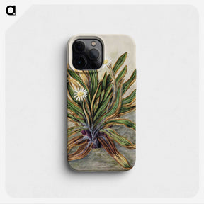 1-42_Native-Flowering-Plants-of-New-Zealand_phone