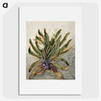 1-42_Native-Flowering-Plants-of-New-Zealand_picture