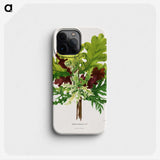 1-42_Nederlandsche-Flora-en-Pomona_phone