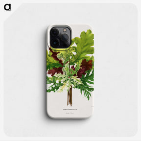 1-42_Nederlandsche-Flora-en-Pomona_phone