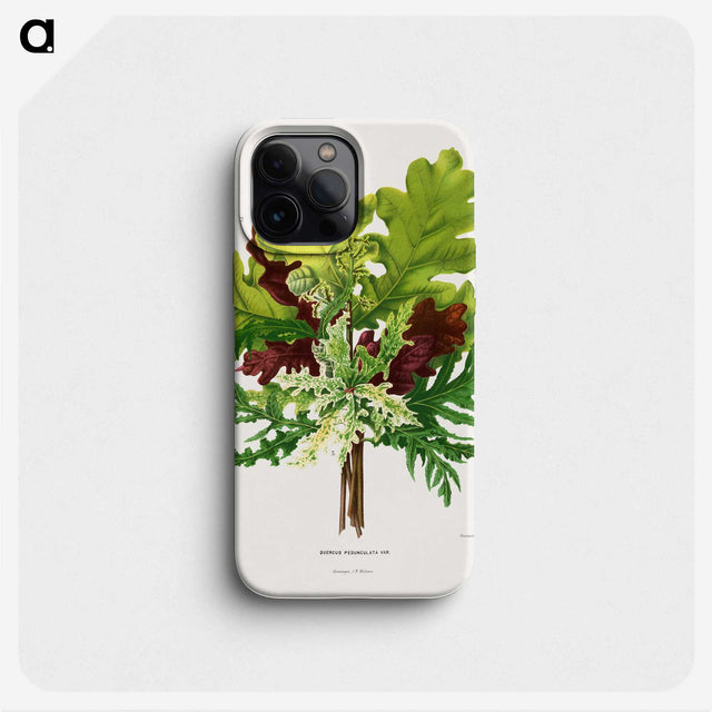 1-42_Nederlandsche-Flora-en-Pomona_phone