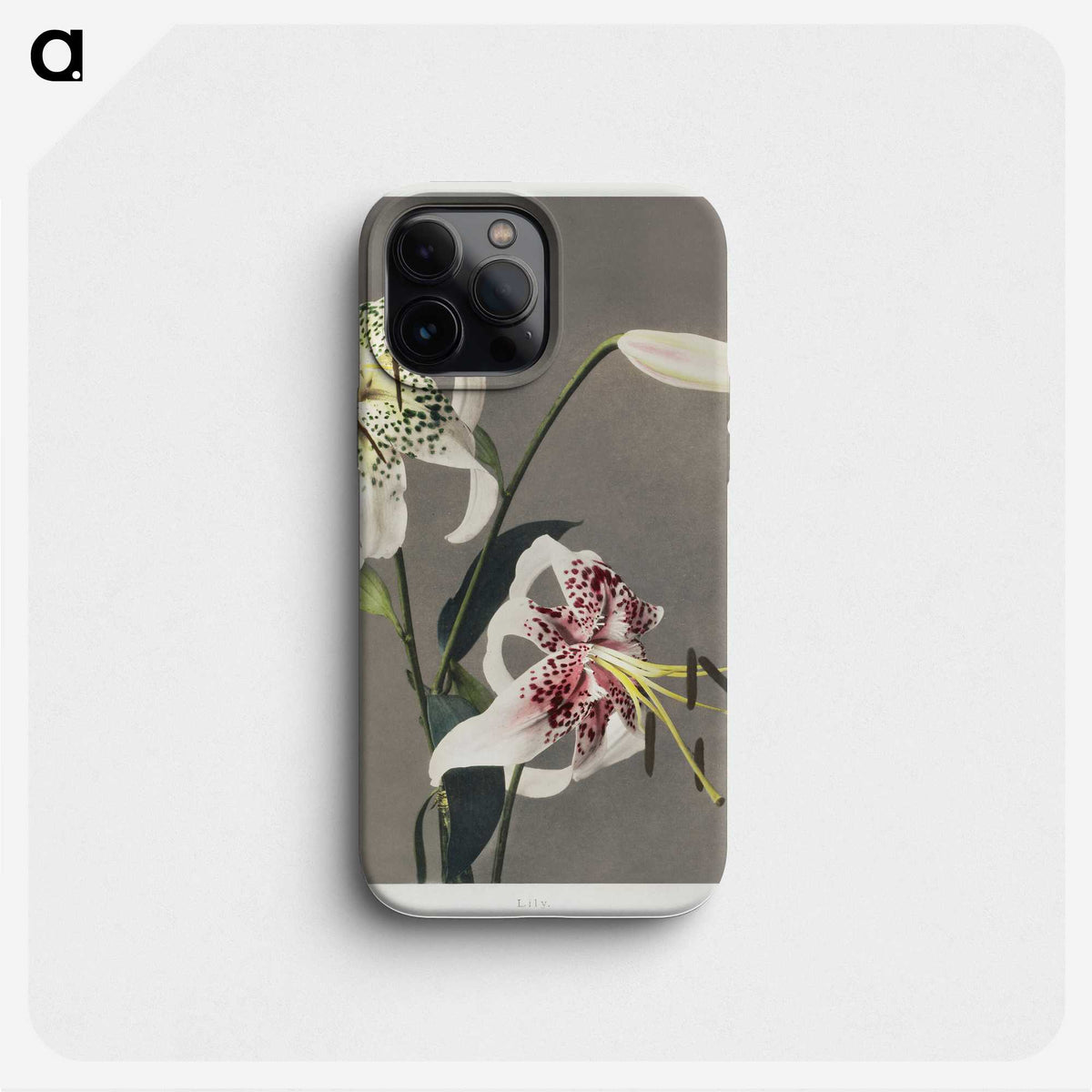 1-42_Ogawa-Kazumasa_phone