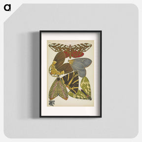 アートポスター-Vintage Butterflies
 - パピヨン Poster.
