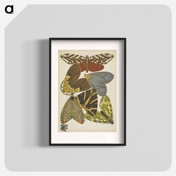 Vintage Butterflies
 - パピヨン Poster.