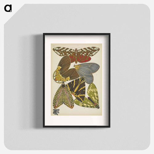 Vintage Butterflies
 - パピヨン Poster.