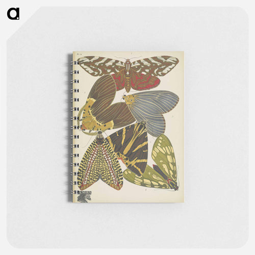 Vintage Butterflies
 - パピヨン Memo.