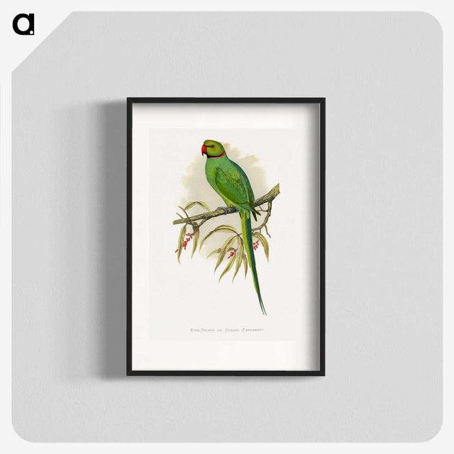 1-42_Parrots-in-Captivity_blk