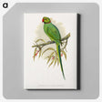 1-42_Parrots-in-Captivity_canvas