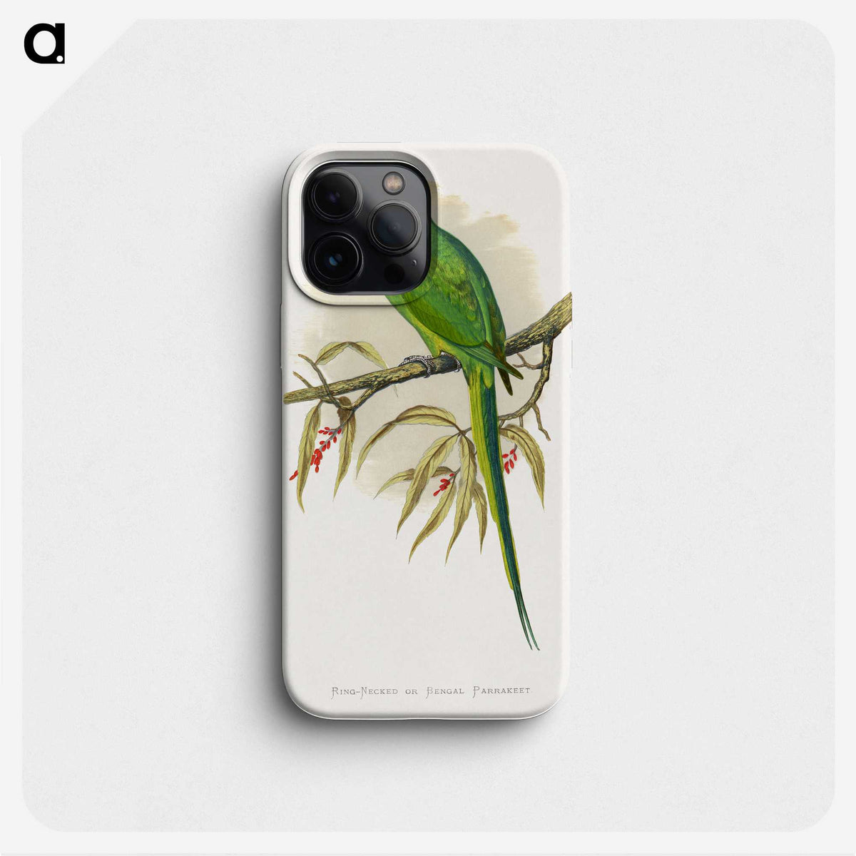 1-42_Parrots-in-Captivity_phone