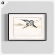 アートポスター-Eastern Common Crane
 - 鳥類図鑑 Poster.