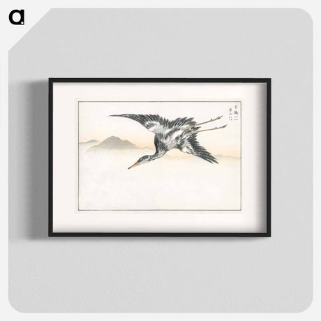 アートポスター-Eastern Common Crane
 - 鳥類図鑑 Poster.