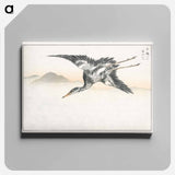 アートパネル-Eastern Common Crane
 - 鳥類図鑑 Canvas.