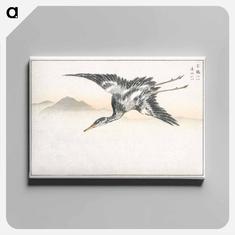 アートパネル-Eastern Common Crane
 - 鳥類図鑑 Canvas.