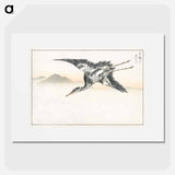 アートポスター-Eastern Common Crane
 - 鳥類図鑑 Poster.