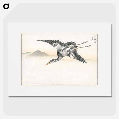 アートポスター-Eastern Common Crane
 - 鳥類図鑑 Poster.