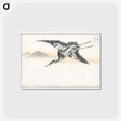 アートポストカード-Eastern Common Crane
 - 鳥類図鑑 Postcard.