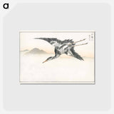 アートポストカード-Eastern Common Crane
 - 鳥類図鑑 Postcard.