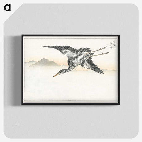 1-42_Pictorial-Monograph-of-Birds_blk-crop