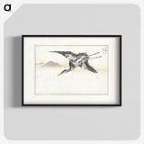 1-42_Pictorial-Monograph-of-Birds_blk