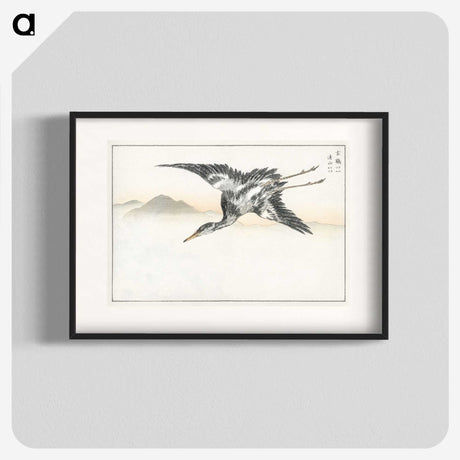 1-42_Pictorial-Monograph-of-Birds_blk