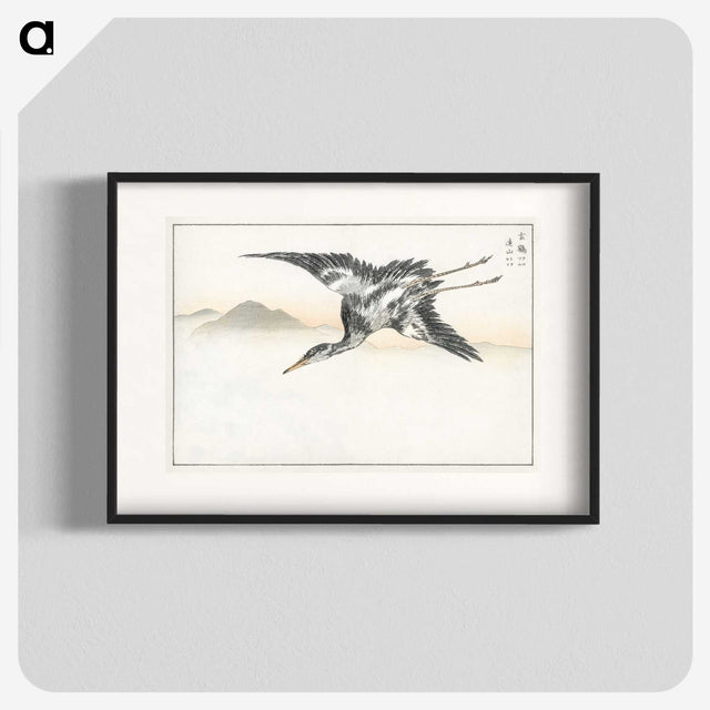1-42_Pictorial-Monograph-of-Birds_blk