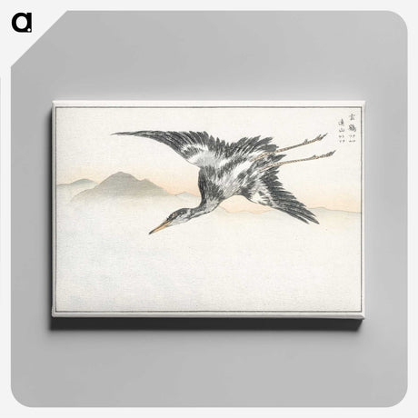 1-42_Pictorial-Monograph-of-Birds_canvas