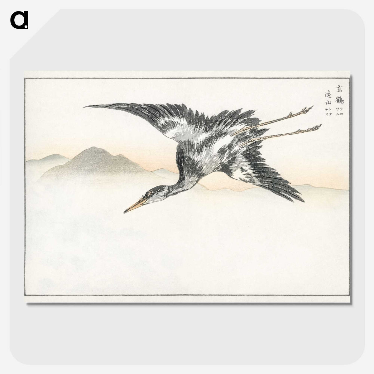 1-42_Pictorial-Monograph-of-Birds_picture-crop