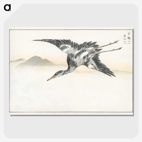 1-42_Pictorial-Monograph-of-Birds_picture-crop