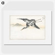 1-42_Pictorial-Monograph-of-Birds_picture