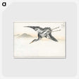 1-42_Pictorial-Monograph-of-Birds_postcard