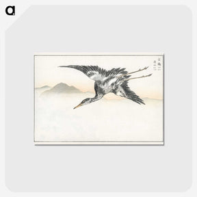 1-42_Pictorial-Monograph-of-Birds_postcard
