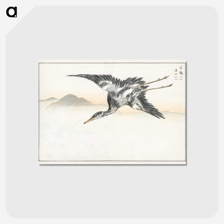 1-42_Pictorial-Monograph-of-Birds_postcard