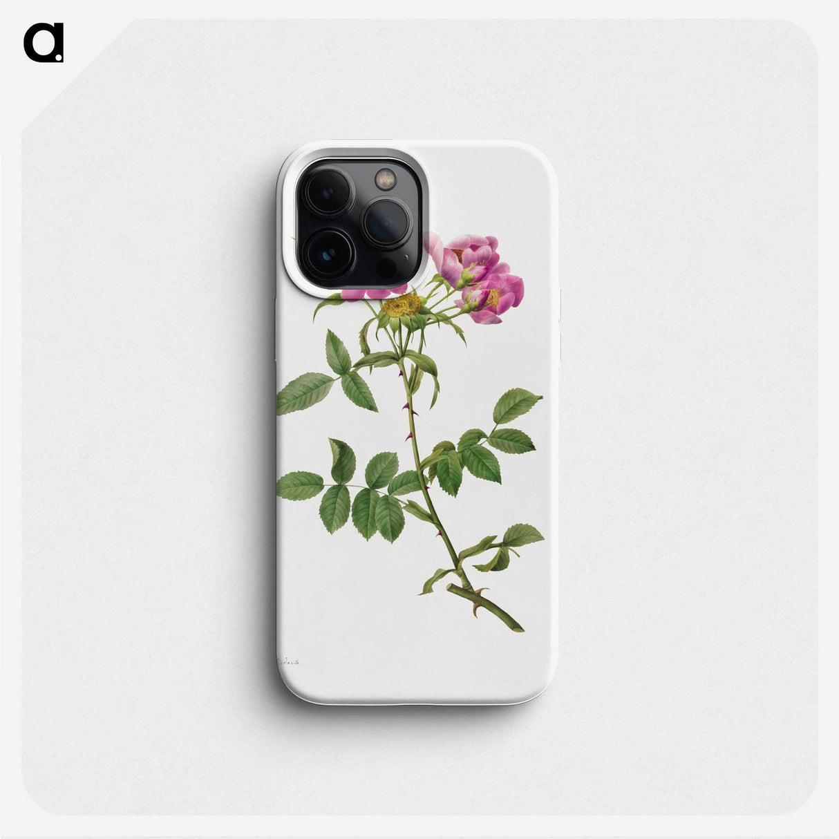 1-42_Pierre-Joseph-Redoute_phone