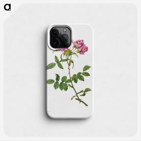 1-42_Pierre-Joseph-Redoute_phone