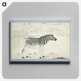 1-42_Robert-Jacob-Gordon_canvas