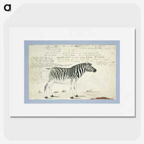 1-42_Robert-Jacob-Gordon_picture