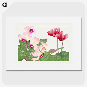 1-42_Seiyo-Soka-Zufu_picture