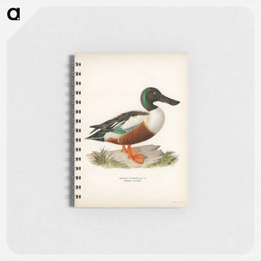 アートメモ帳-Cinnamon Teal
 - スヴェンスカ フォグラル Memo.