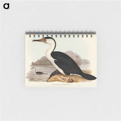 アートメモ帳-Pied Cormorant
 - オーストラリアの鳥 Memo.