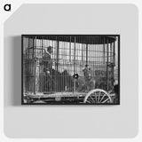 1-42_The-Burton-Brothers_blk-crop
