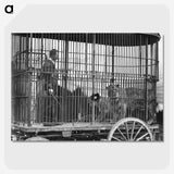 1-42_The-Burton-Brothers_picture-crop
