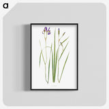 1-42_The-Genus-Iris_blk-crop