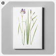 1-42_The-Genus-Iris_canvas