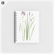1-42_The-Genus-Iris_memo