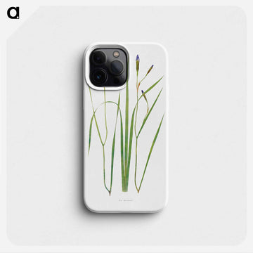Iris Prismatica from The Genus Iris
 - アヤメ属 Phone Case.